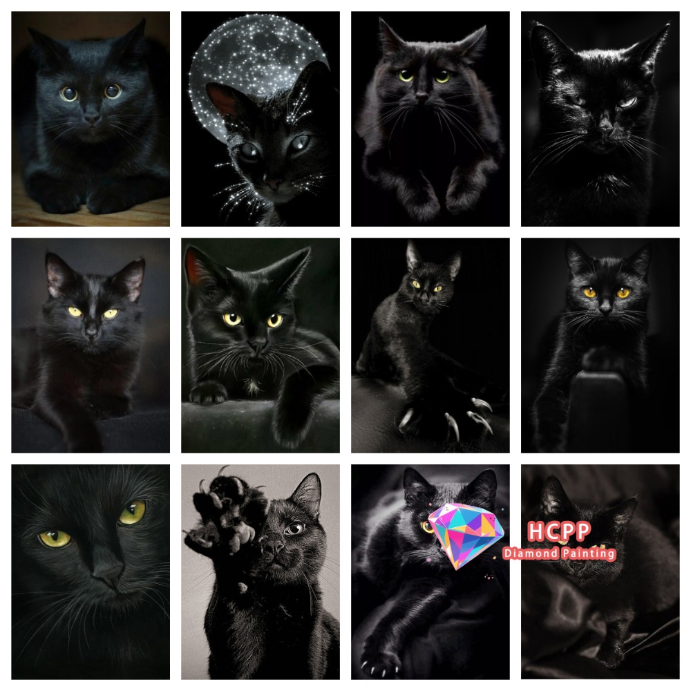ชุดภาพวาดเพชรรูปแมวดำแบบไม่มีก - Art Craft Animals บทวิจารณ์และราคา