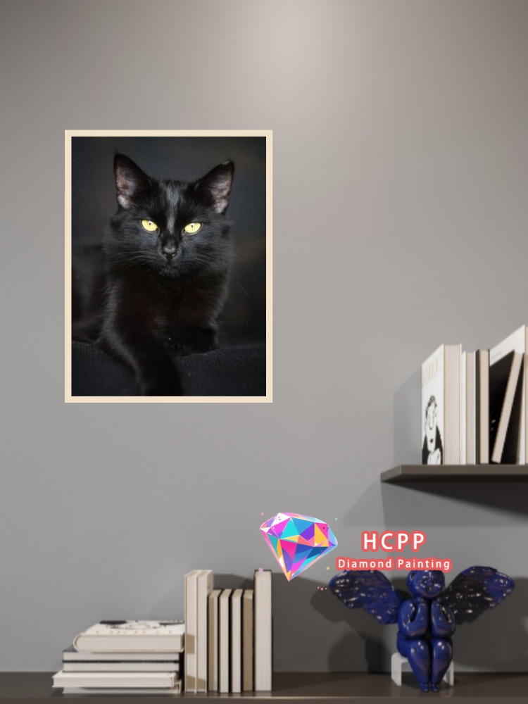 ชุดภาพวาดเพชรรูปแมวดำแบบไม่มีก - Art Craft Animals บทวิจารณ์และราคา